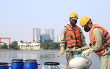Tiếp tục xử lý ô nhiễm nước hồ ở Hà Nội bằng chế phẩm Redoxy-3C